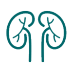 Acute Kidney Disease (AKI)