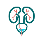 Nephrotic syndrome